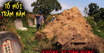 Mộ mối đùn có phải mộ kết không?